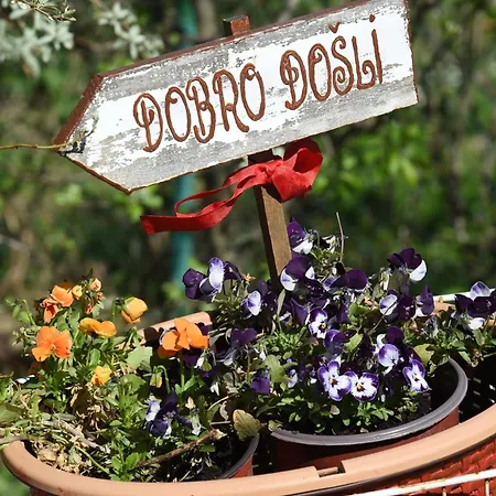 Kuca Cerevicki Vidikovac Holiday home Cerevic