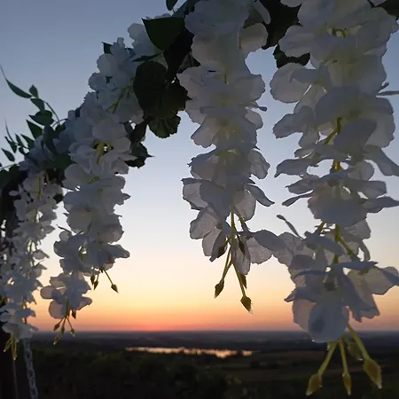 度假居 Kuca Cerevicki Vidikovac